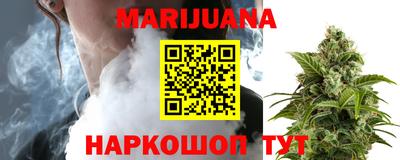 ешки Новодвинск