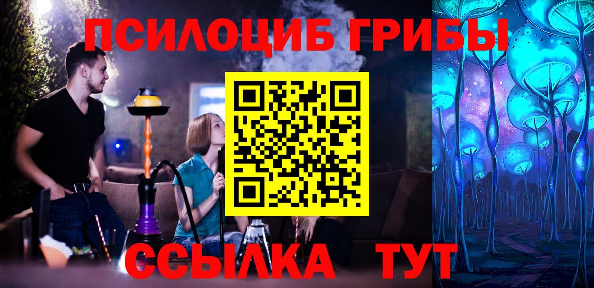 Галлюциногенные грибы Cubensis  магазин продажи   Можга  Вход с VPN 