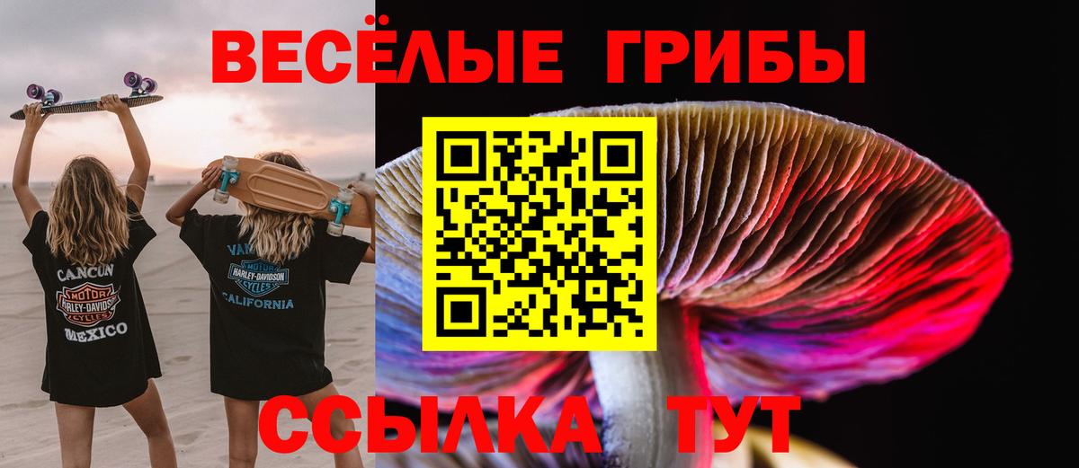 Галлюциногенные грибы Psilocybe Можга