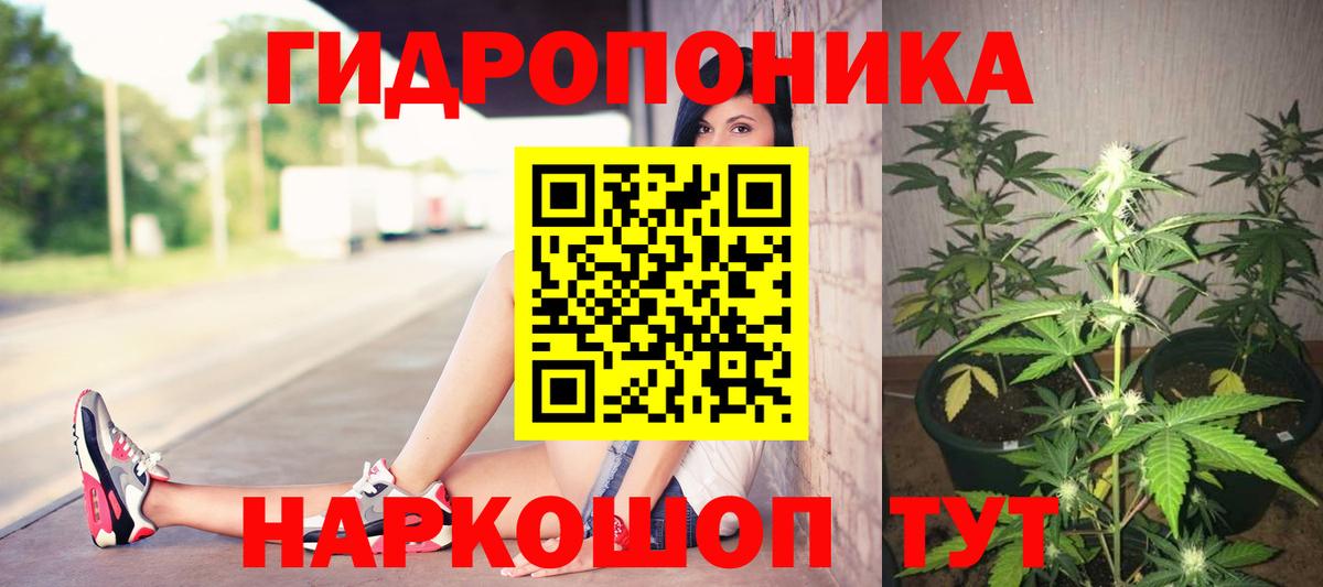 Каннабис White Widow  Вход с VPN  Можга  Шишки марихуана тримм 